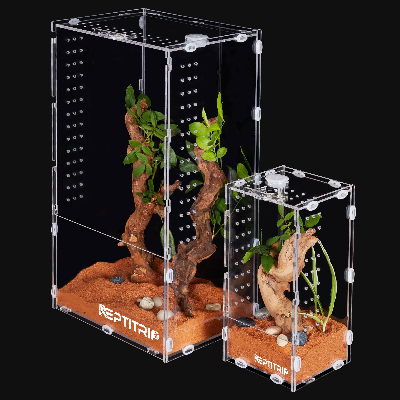 Premium 4x4x8 Acrylic Spider Terrarium - Jumping Spider & Tarantula Enclosure for Arthropods & Insects | Perfect for Pet Spiders, Breeding, and Educational Display