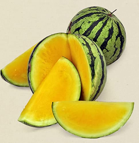 30+ Yellow Flesh Doll Babies Desert King Watermelon Seeds (Not Seedless) - Sweet Juicy Melon for Home Gardening, Farmers Market & Fresh Fruit Snacking
