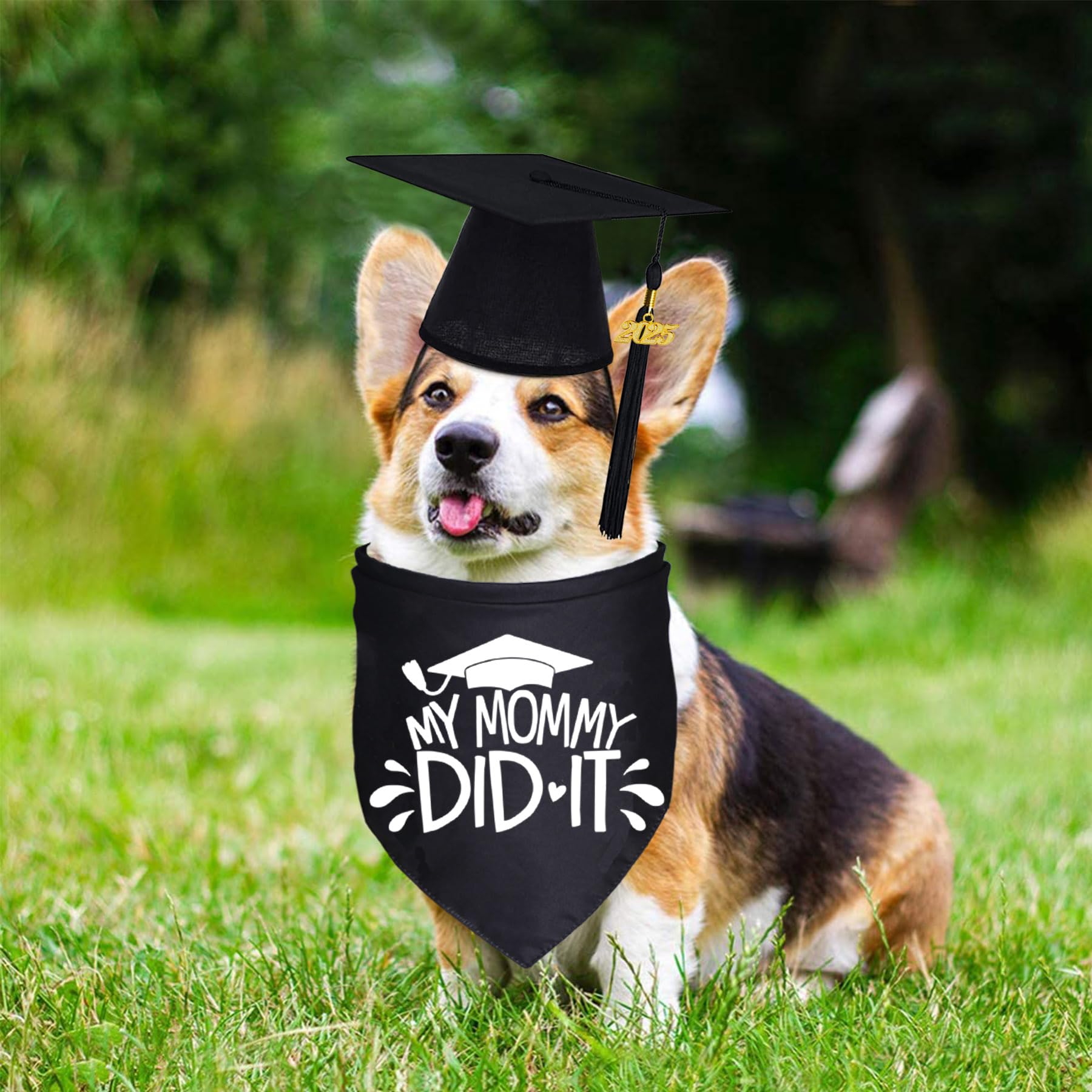 2025 Graduation Dog Bandana with Black Tassel - Adjustable Pet Graduation Outfit for Small, Medium & Large Dogs - Perfect for Graduation Ceremonies, Photo Shoots & Celebration Parties (Black, Cap & 