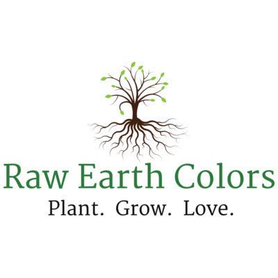 Organic Lettuce Spring Mix Salad Greens Seeds - 500 Heirloom Non-GMO Seeds for Hydroponic, Indoor & Outdoor Vegetable Gardening - Perfect for Home Gardens, Urban Farming & Healthy Salad Lovers