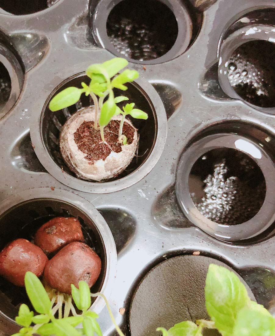 24-Site Deep Water Culture (DWC) Hydroponic Propagator Kit with 25 Sets of 2-Inch Net Pots & Inserts - Perfect for Indoor Herb Gardens, Seed Starting, and Hydroponic Plant Growth