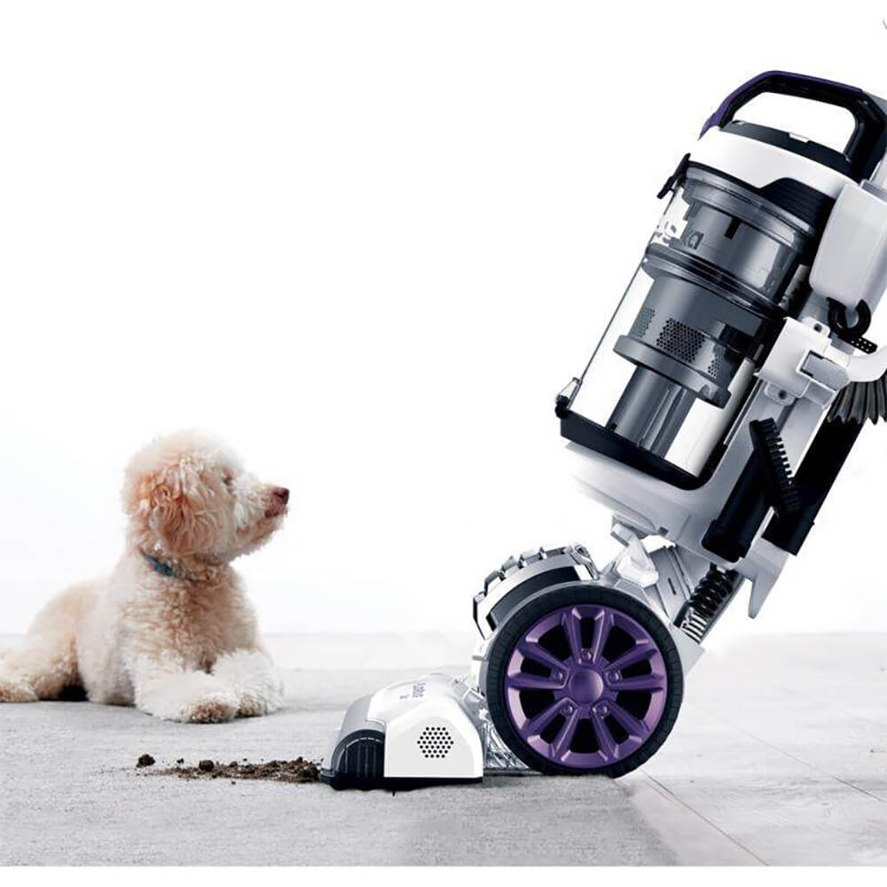 Eureka FloorRover Dash Multi-Surface Upright Vacuum Cleaner - Powerful Suction for Hardwood, Tile & Carpet - Perfect for Home, Office & Pet Hair Cleaning