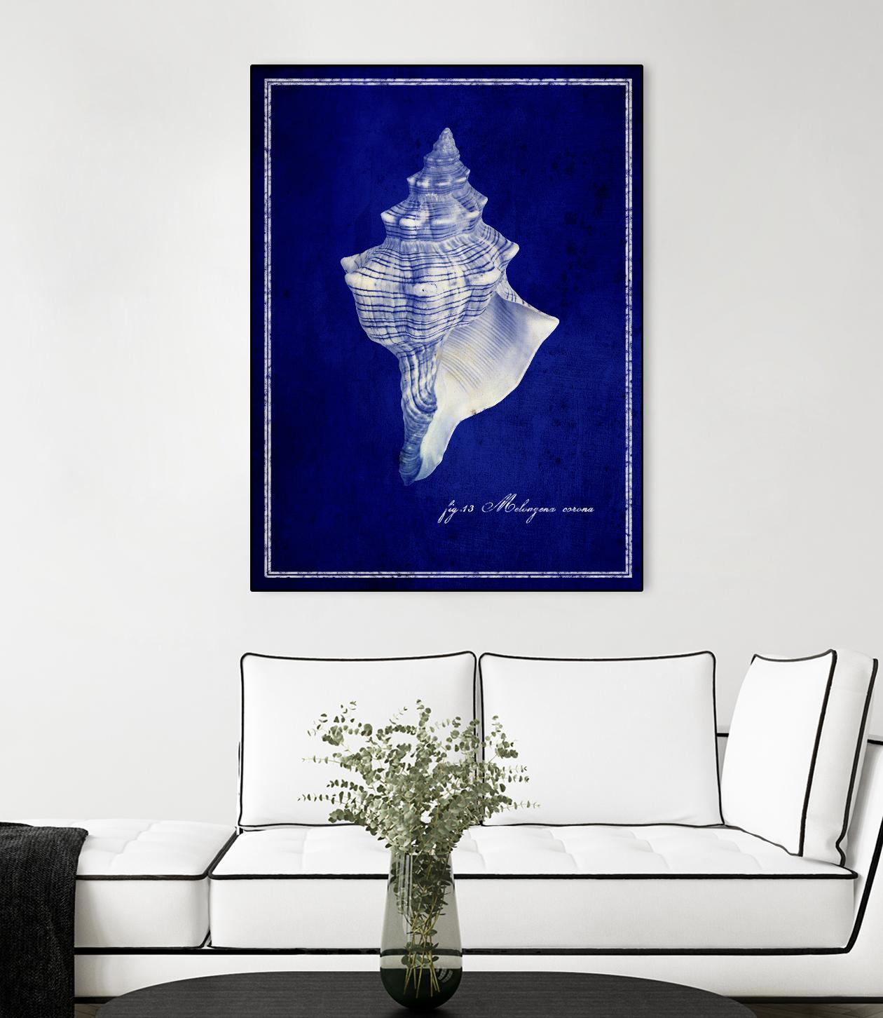 Natural Large Conch Shell for Beach Decor, Home Decor, and Coastal Theme Parties - Perfect for DIY Crafts, Wedding Centerpieces, and Tropical Themed Events