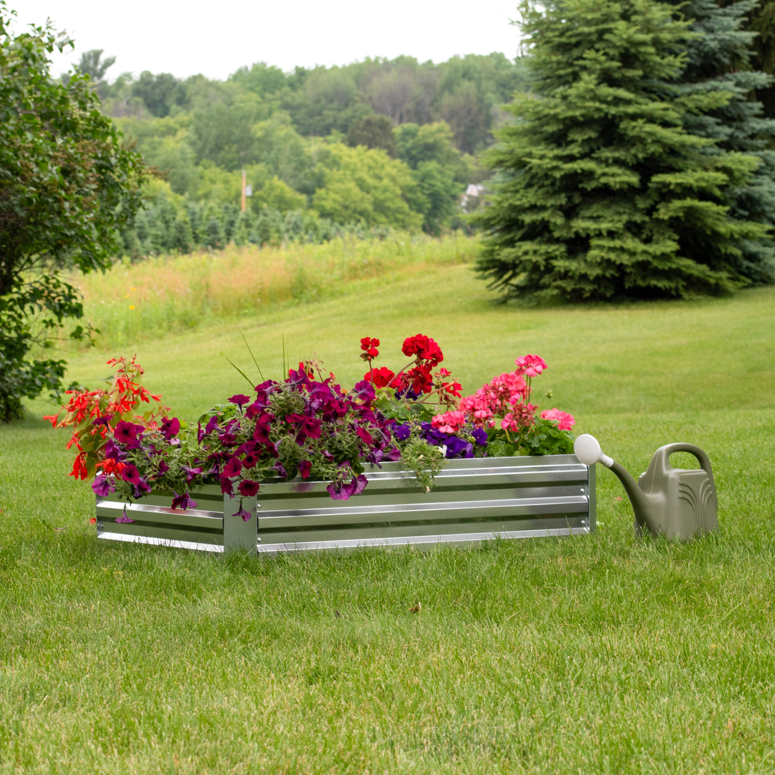 Galvanized Steel Raised Garden Bed Kit - 8x4x1ft Outdoor Planter Box for Vegetables, Herbs & Flowers - Durable Metal Garden Beds for Backyard, Patio & Urban Gardening