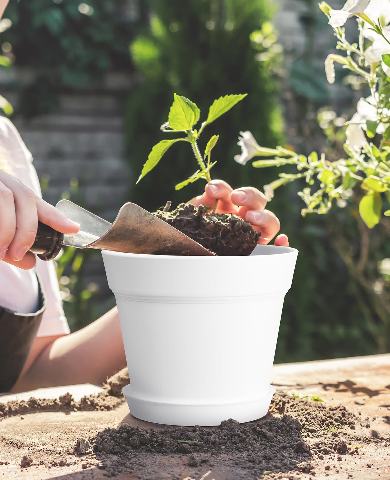 15 Pack 6 Inch White Plastic Plant Pots with Drainage Holes & Trays - Homenote Flower Planters for Indoor Outdoor Garden, Succulents, Herbs - Perfect for Home Decor, Office Desk, Balcony Gardening