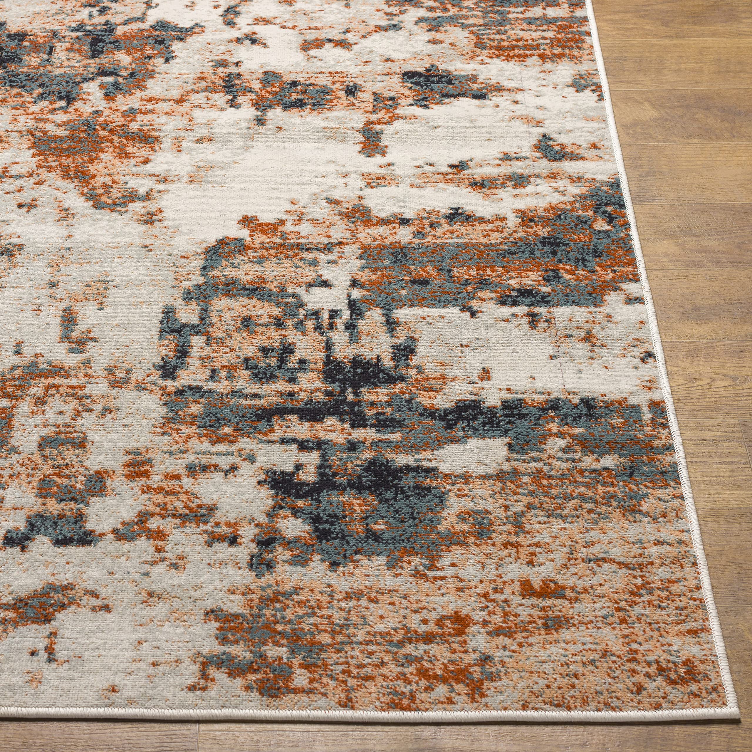 Redondo Beach Outdoor Boho Area Rug 5'3