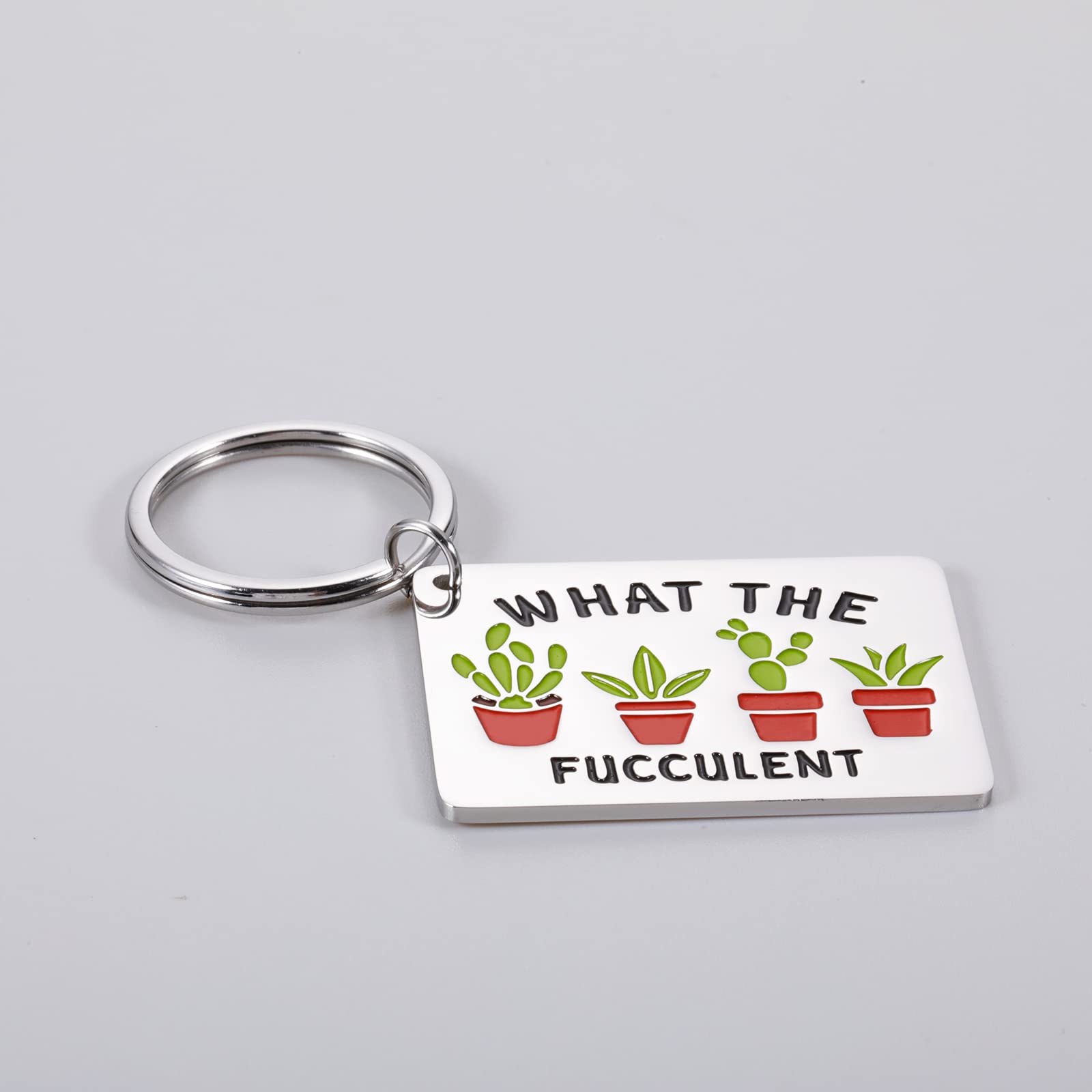 Funny Succulent Cactus Keychain Gift for Plant Lovers - Best Friend BFF Crazy Plant Lady Present - Unique What The Fucculent Gift for Women, Mom, Gardeners - Perfect Housewarming Gift for Her - Great for Home Decor, Office Desk & Car Keys