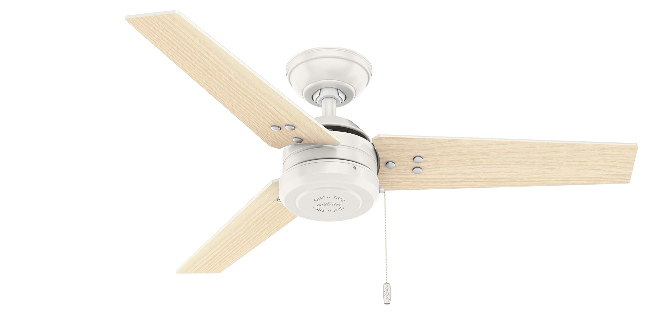 Hunter Cassius 44 Inch Indoor Outdoor Ceiling Fan with Pull Chain - Fresh White Finish - Perfect for Patio, Bedroom, Living Room and Office Spaces