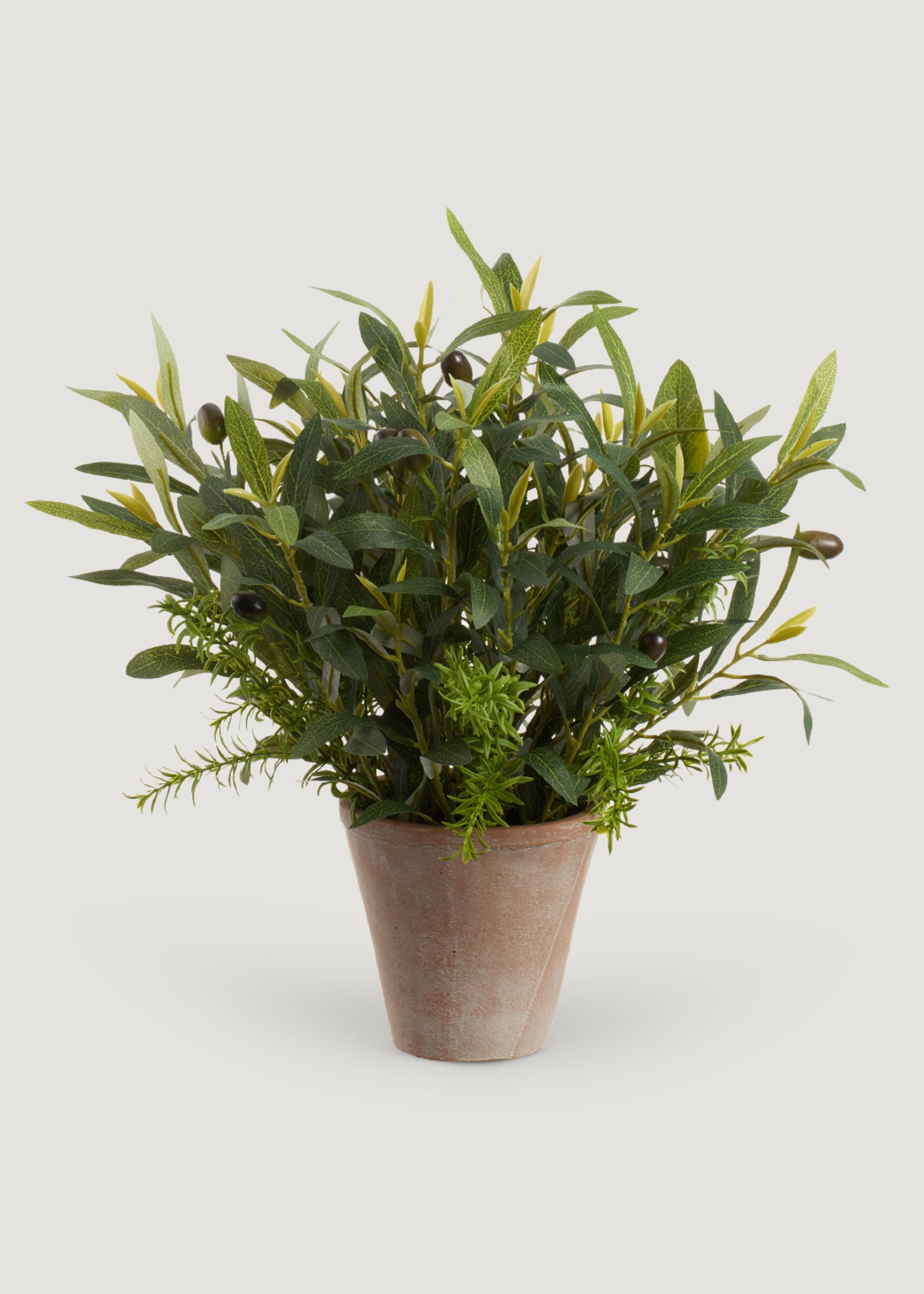 Artificial Olive Leaf and Rosemary Plant in Cement Pot - 17