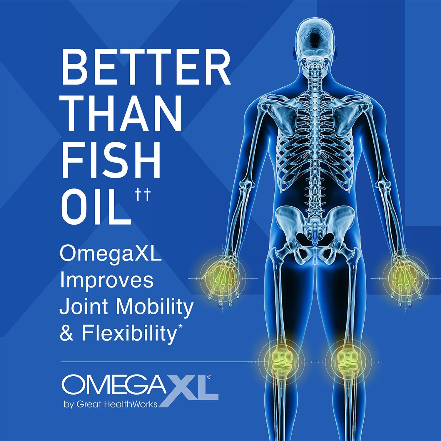 OmegaXL Joint Support Supplement - Natural Muscle & Joint Relief with Green Lipped Mussel Oil, 120 Soft Gel Capsules (2 Pack of 60) | Drug-Free Pain Management for Active Lifestyles, Arthritis & Post-Workout Recovery