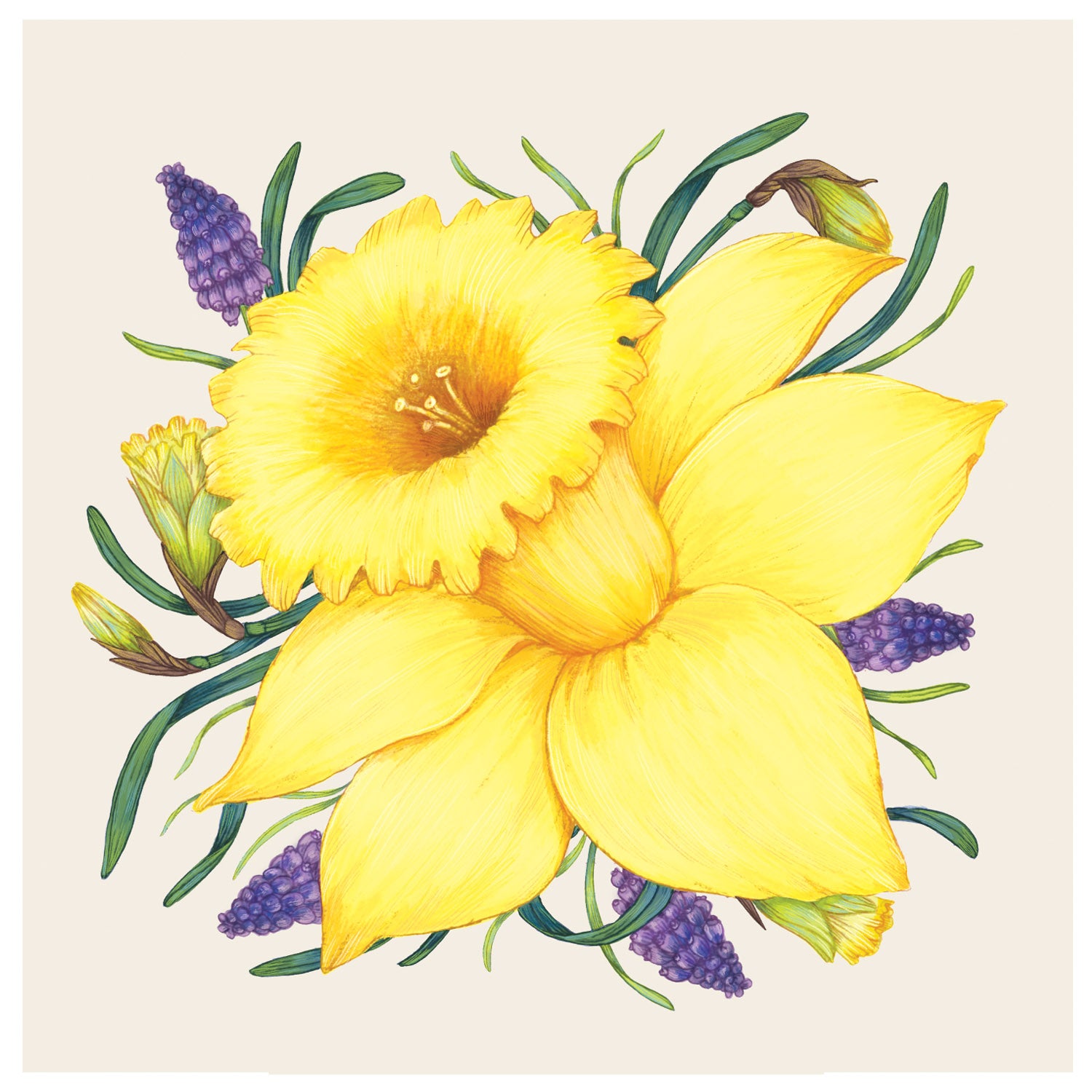 Daffodil Cocktail Napkins - Premium Floral Paper Napkins for Parties, Weddings & Events - Elegant Table Decor for Cocktail Receptions, Bridal Showers & Dinner Parties