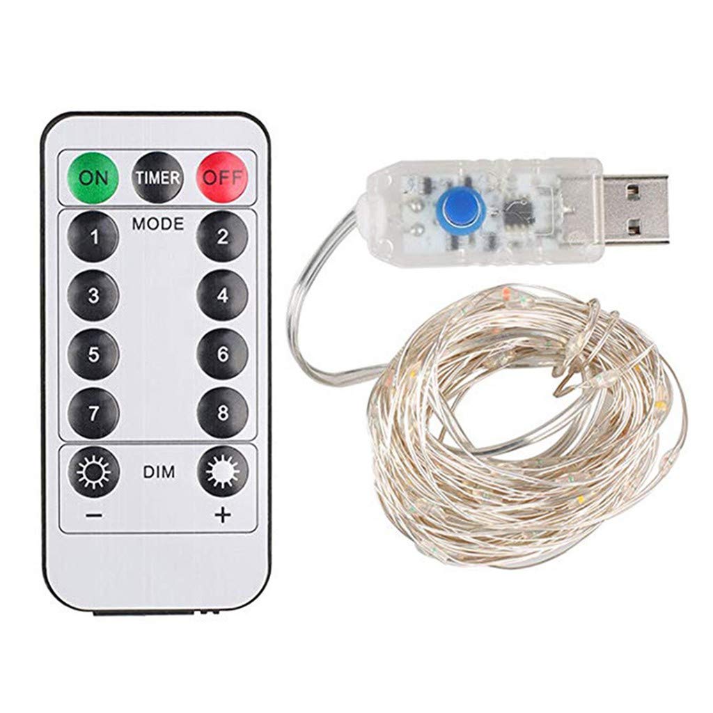 100 LED Decorative String Lights - 8ft Copper Wire Fairy Lights with Remote Control, Warm White Twinkle Lights for Christmas Tree, Bedroom, Wedding, Party & Outdoor Decor