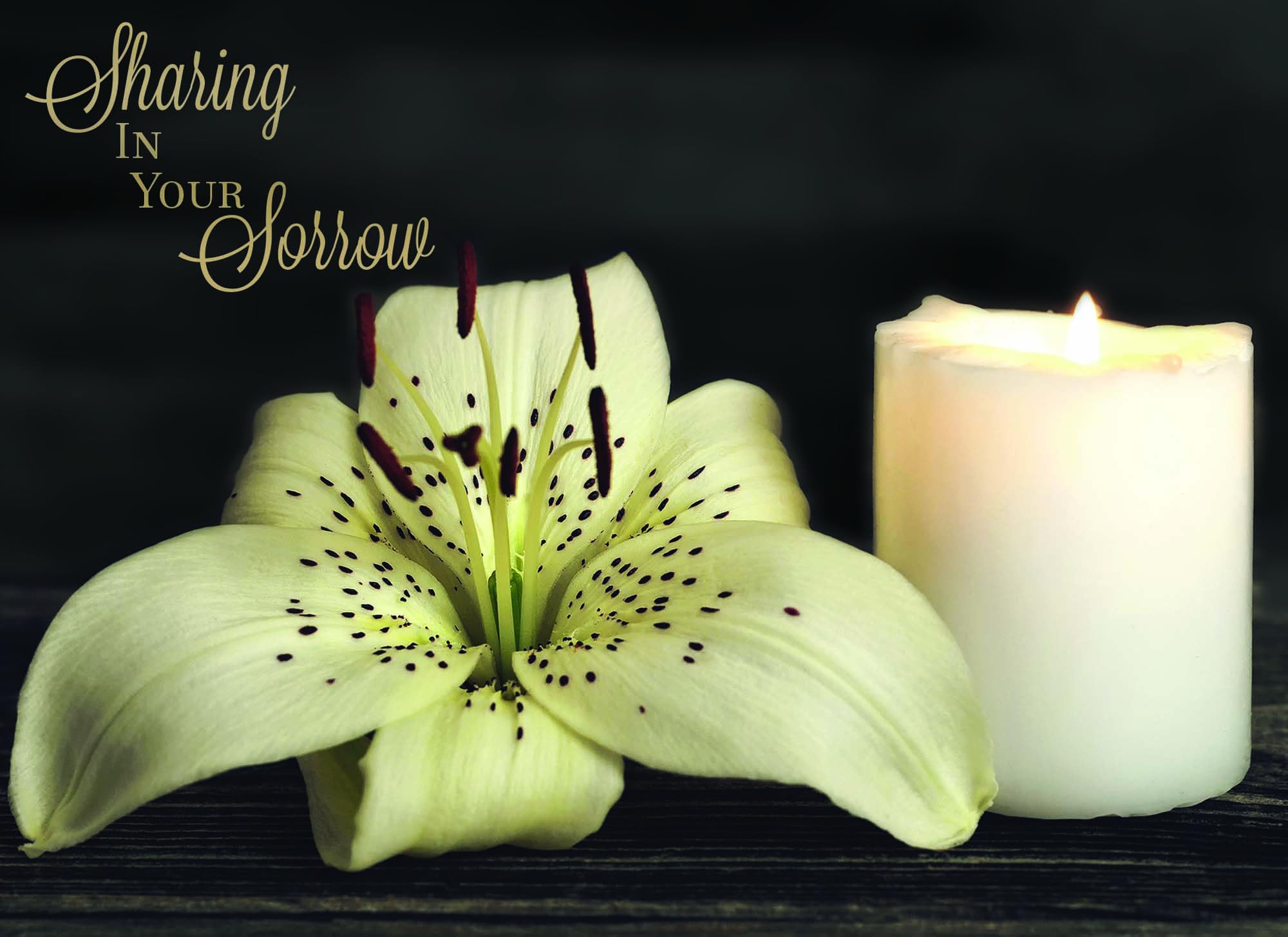 Shared Blessings Sympathy Candles - 12 Pack Boxed Christian Condolence Cards with KJV Scripture, Calming Candlelight Designs & Envelopes - Perfect for Funeral Memorials, Grieving Comfort & Spiritual Support