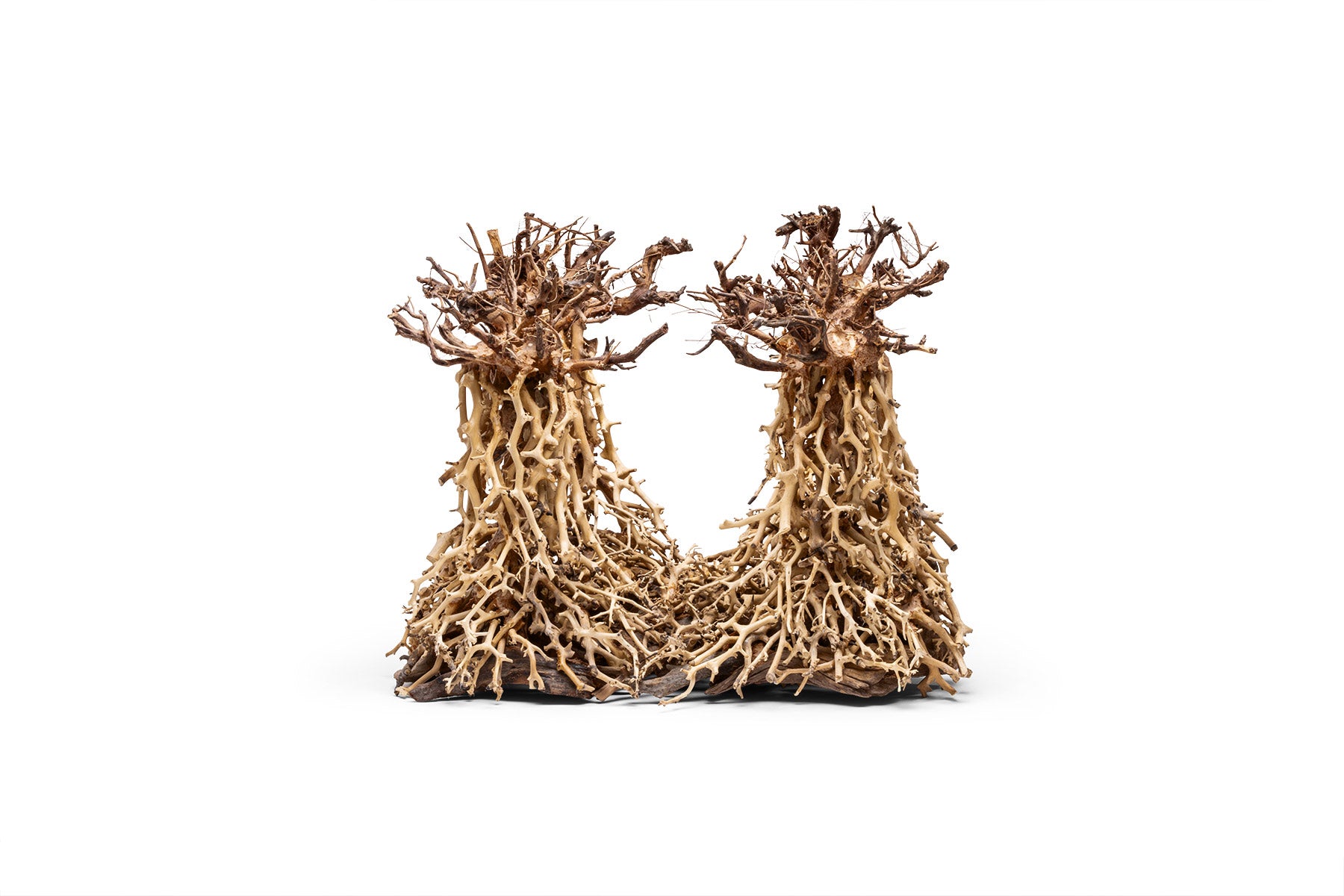 UNS Bonsai 003 - Premium Aquarium Bonsai Tree for Fish Tank Decoration | Perfect for Aquascaping, Shrimp Tanks & Natural Underwater Landscapes