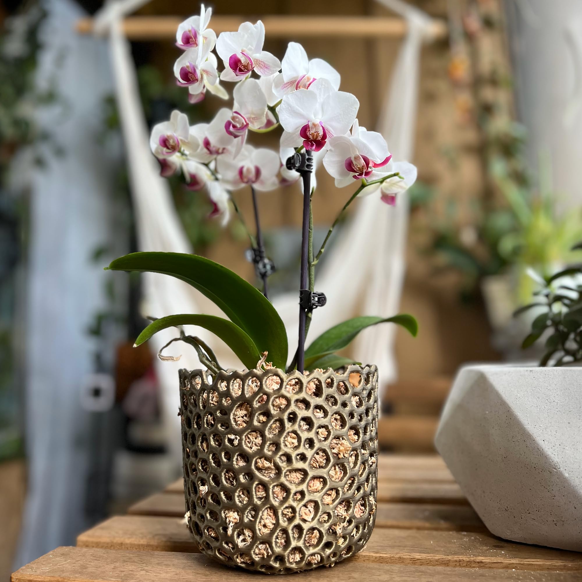 Voronoi Mesh Cylinder Orchid Pot - Breathable White Orchid Planter for Air Plants & Succulents | Perfect for Indoor Gardening, Home Decor, and Office Plants