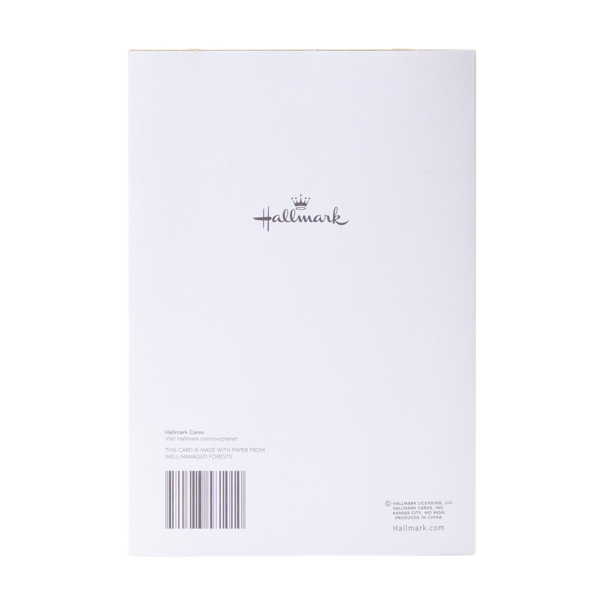 Hallmark Birthday Greeting Card - 'Today is a Good Day' - Thoughtful Birthday Wishes for Friends & Family - Perfect for Birthdays, Anniversaries & Special Occasions