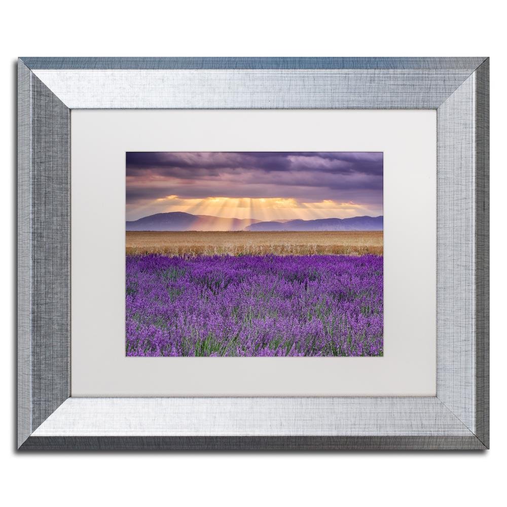Lavender Sunbeams Wall Art - 11x14