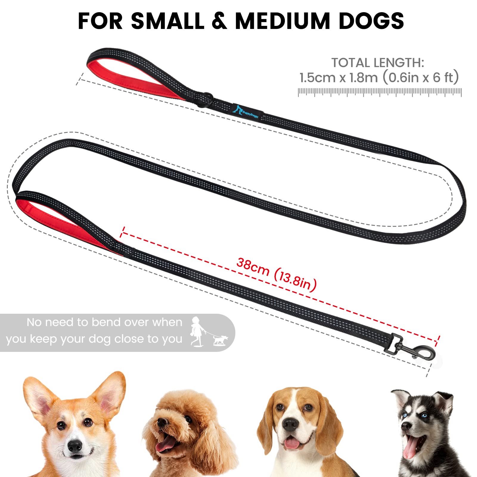 Premium 6ft Reflective Dog Leash for Small & Medium Dogs - 2 Pack Purple Padded Handle Pet Leash with 3M Reflective Stitching for Running, Walking & Training - Perfect for Nighttime Safety & Outdoor Adventures