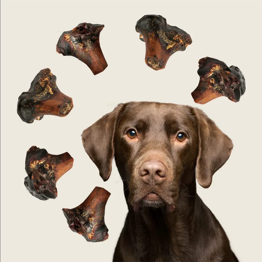 ROAM Pet Treats Large Ostrich Knuckle Dog Chew - Natural, Long-Lasting, High-Protein Treat for Medium to Large Dogs - 10.2oz (3-Pack) - Perfect for Training, Dental Health & Anxiety Relief