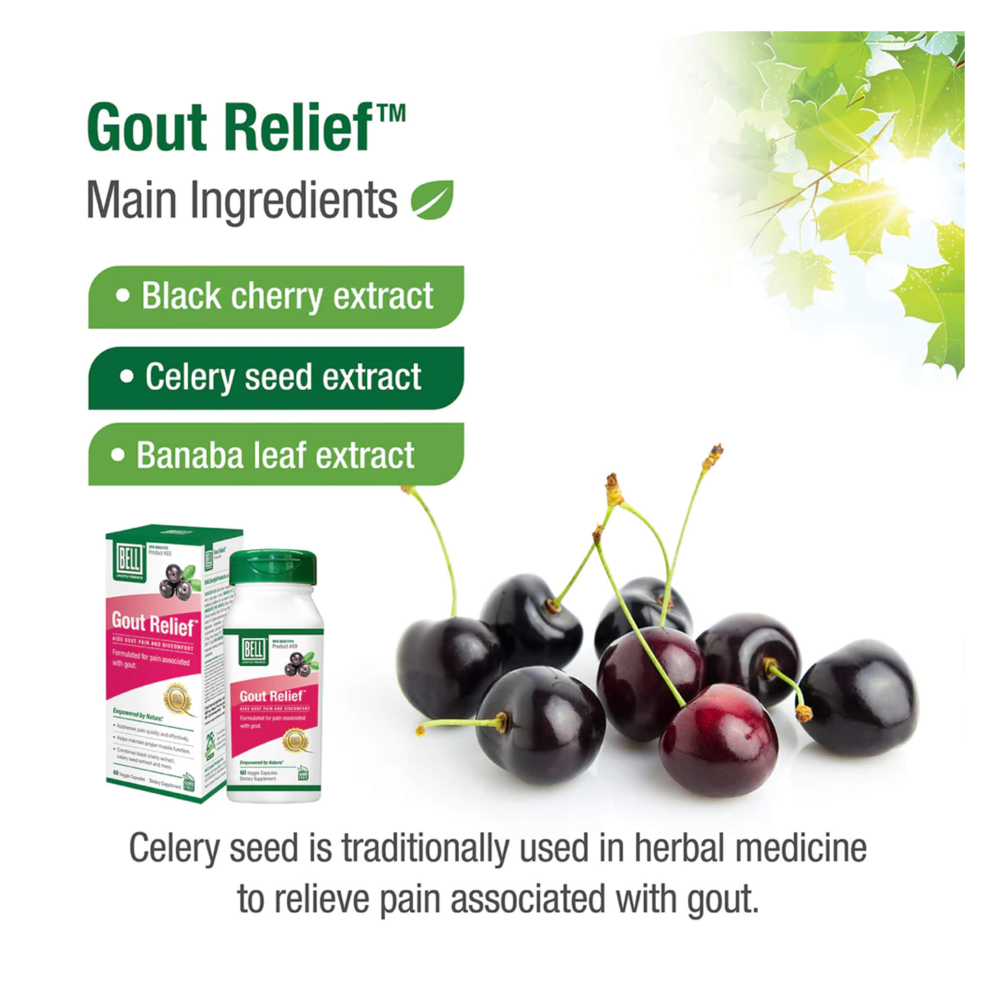 Natural Gout Relief Supplement - Fast-Acting Pain & Inflammation Support for Joint Health | Ideal for Arthritis, Uric Acid Reduction & Daily Comfort