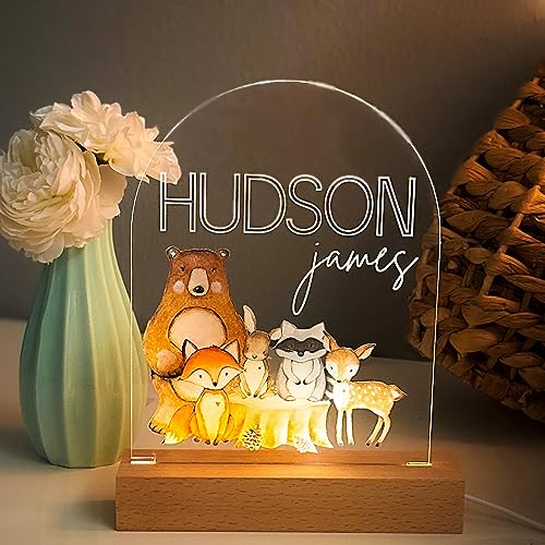 Hudson James