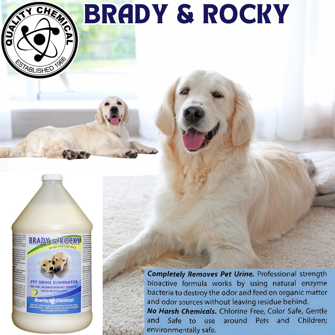 Premium Brady & Rocky Pet Urine Eliminator - Advanced Odor & Stain Remover for Carpets, Upholstery & Floors - 128oz Professional Strength Formula - Ideal for Dog Urine, Vomit & Pet Accidents - Home & Car Use