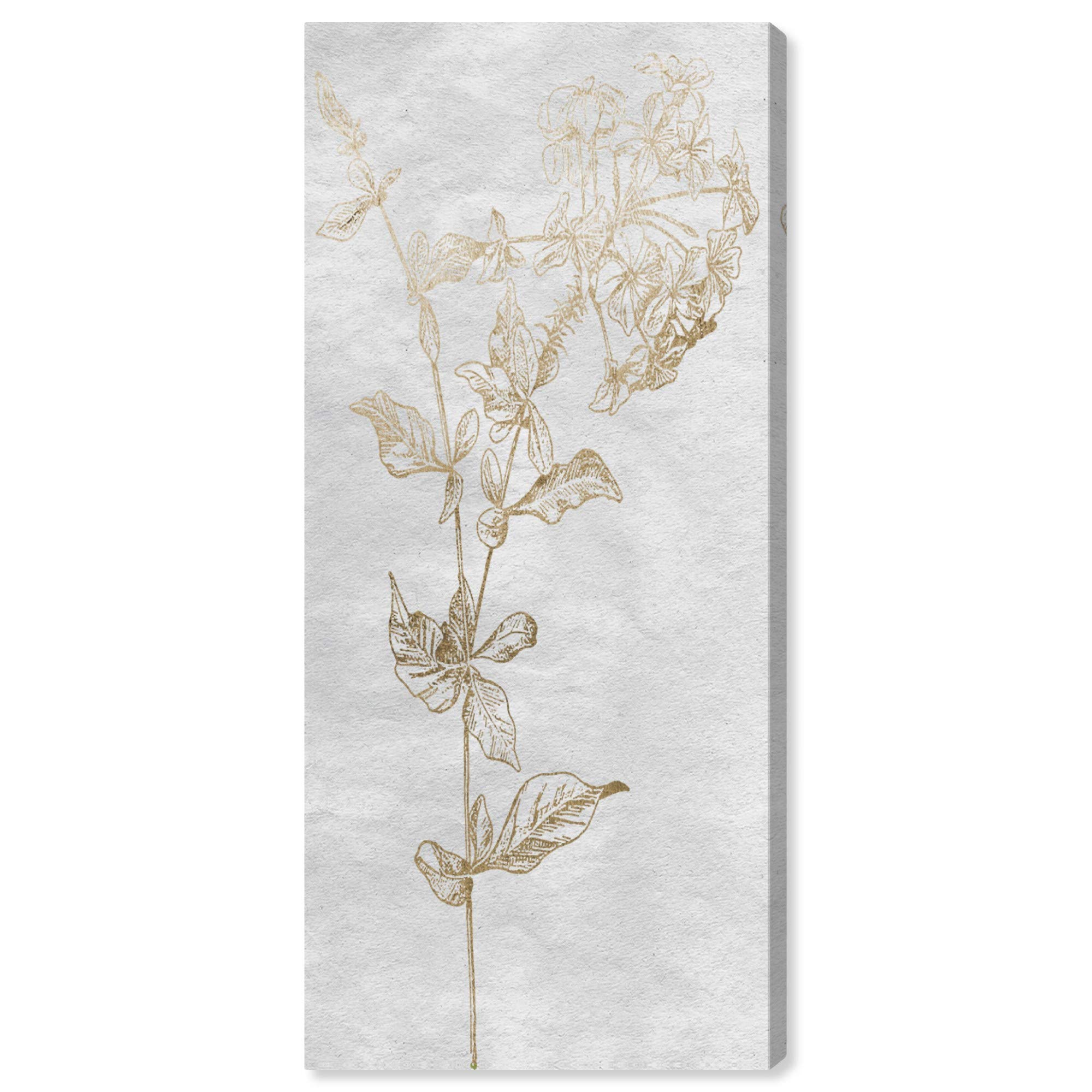 Floral Sketch Vertical Gold Wall Art Canvas Prints by Oliver Gal Artist Co. - Elegant Home Decor for Living Room, Bedroom & Office