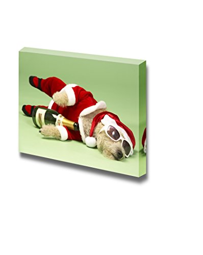 Samll Dog