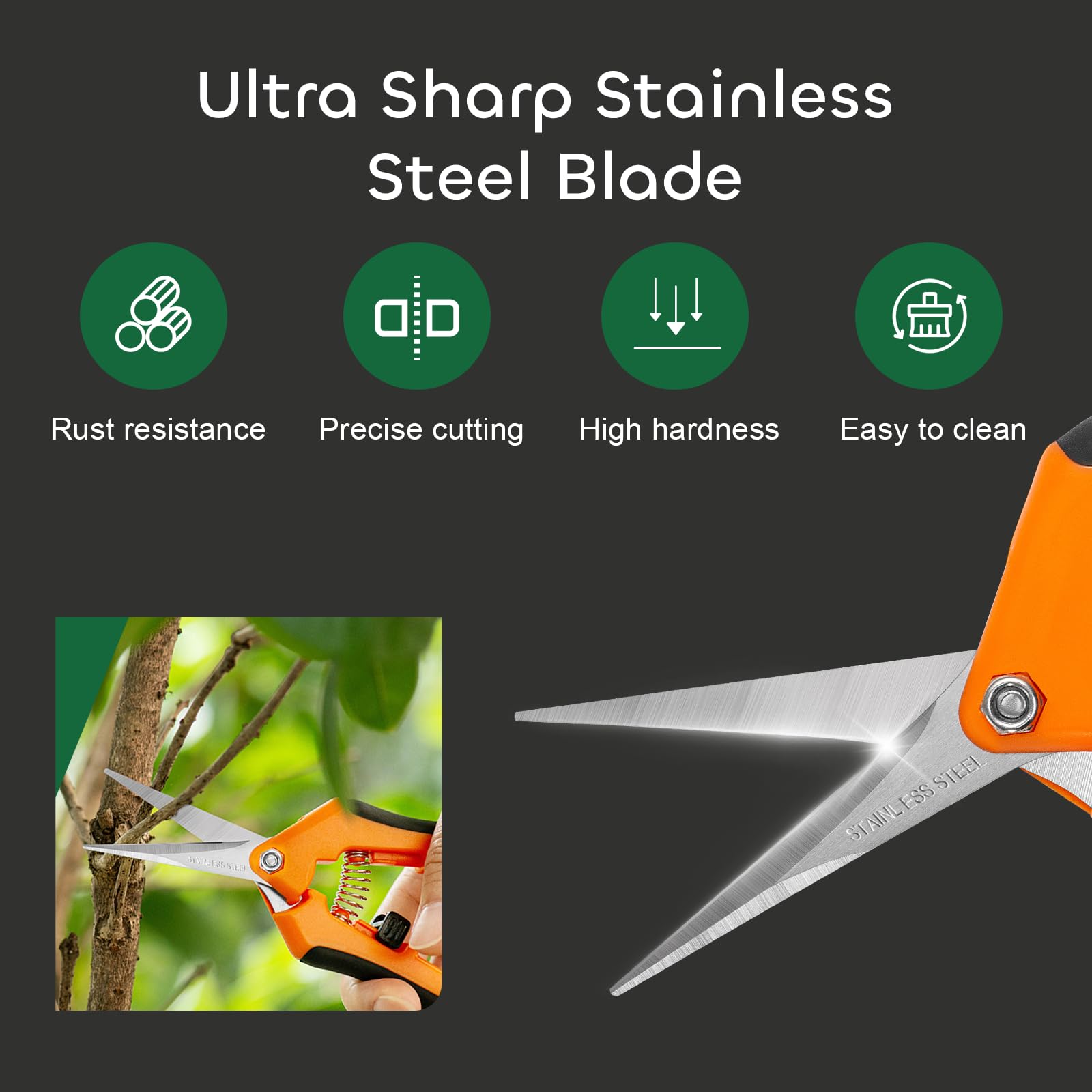 GROWNEER 3 Pack 6.5 Inch Professional Pruning Shears - Sharp Stainless Steel Blades Garden Scissors for Trimming Plants, Flowers, and Small Branches | Ideal for Gardening, Landscaping, and Indoor Plant Care