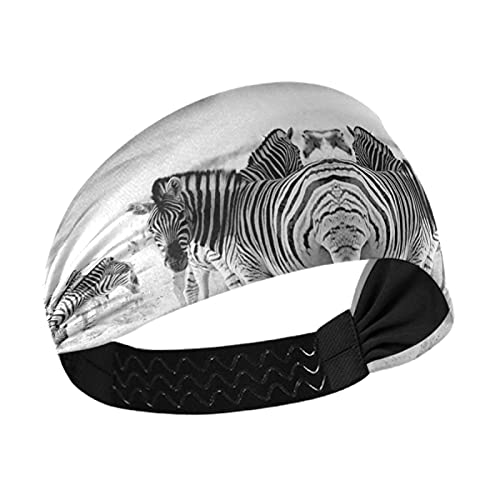 Zebras at Sunset Black & White Women's Headbands - Stretchy Yoga Headband, Breathable Workout Head Wrap, Sweat Wicking Hair Band & Sports Scarf for Running, Gym & Fitness