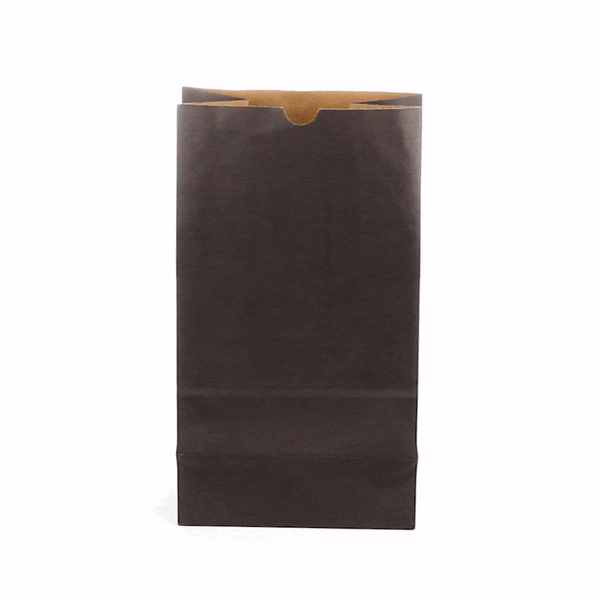 Premium Black Paper Bags 12 lb Weight Capacity - 7 x 4.25 x 12.5 Inches - Pack of 100 - Eco-Friendly Gift & Shopping Bags for Retail Stores, Parties and Events