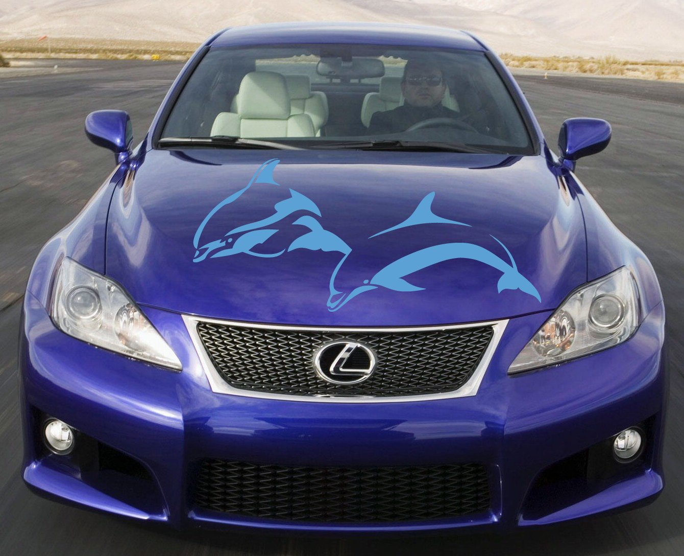 Dolphin Car Decals - Removable Sea Animal Stickers for Hood & Vehicle Decor - Unique Jumping Dolphins Design - Waterproof & Stylish Auto Accessories for Cars, Trucks, SUVs (Perfect for Beach Lovers & Ocean Theme Enthusiasts)