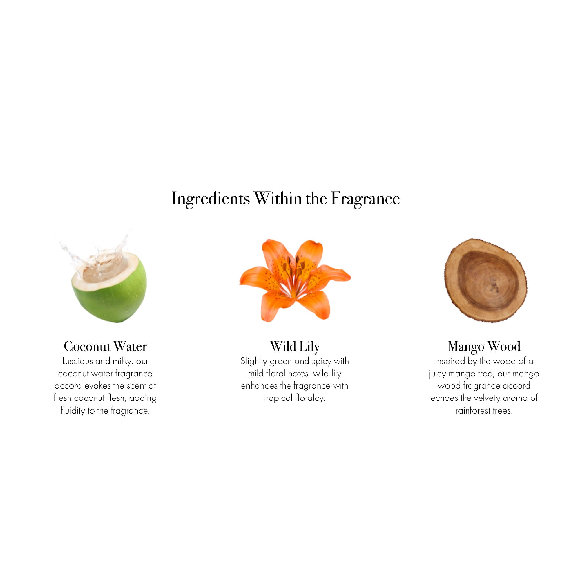 Jungle Bloom Scented Candle - Natural Soy Wax, Long-Lasting Fragrance for Home, Spa & Romantic Ambiance
