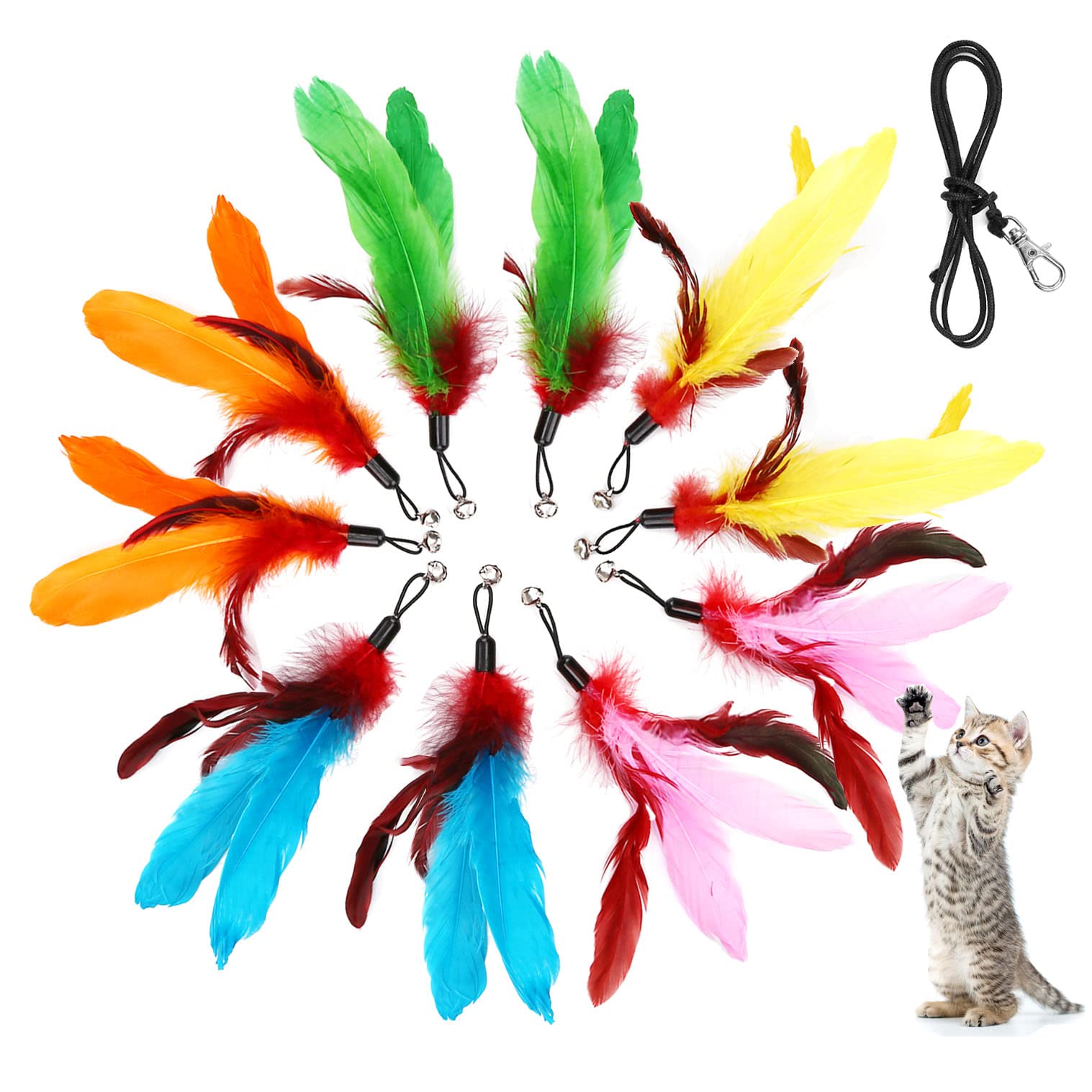 MeoHui 11PCS Cat Toy Wand Refill Set - Assorted Feather Teaser Attachments with Bells for Interactive Cat Play | Includes 10 Feather Replacements & 1 String for Cat Wand Toys | Perfect for Indoor Exercise & Bonding with Your Feline Friend