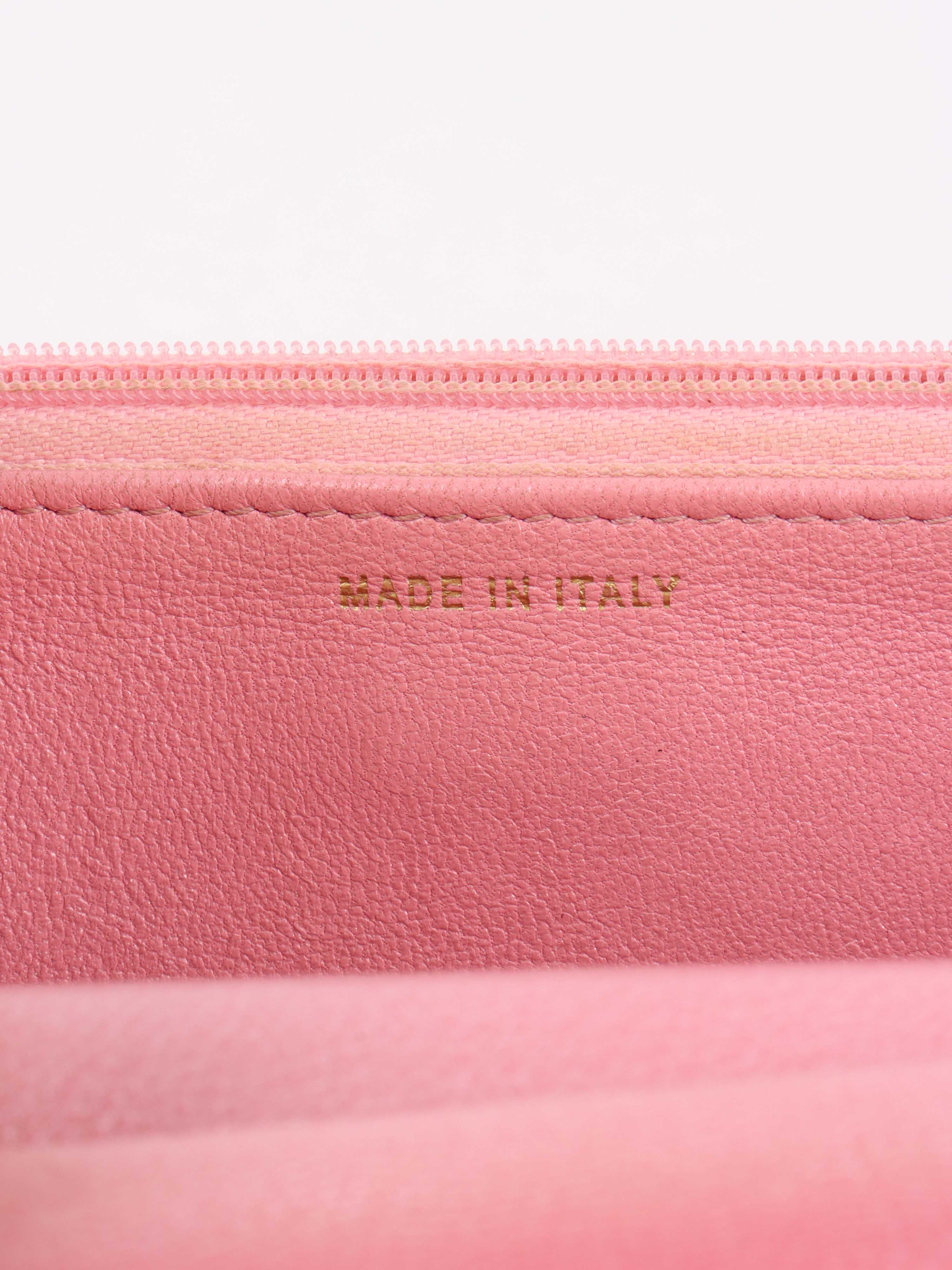 Chanel Light Pink Wallet on Chain - Stylish Crossbody Bag for Women | Perfect for Parties, Dates & Everyday Use