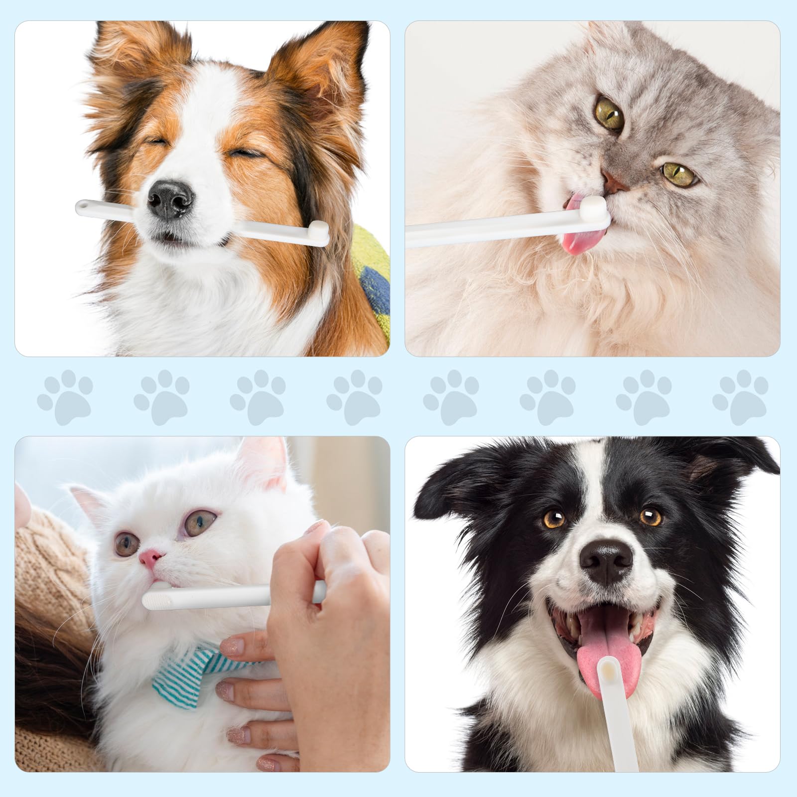 5-Pack Small Dog & Cat Toothbrush Set with Micro Nano Bristles - Gentle Pet Teeth Cleaning Kit for Puppies & Kittens - Includes Storage Box (White) - Perfect for Daily Oral Care & Dental Hygiene at Home