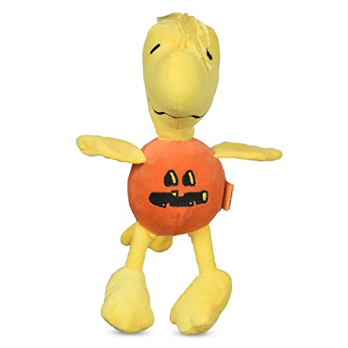 Woodstock Pumpkin