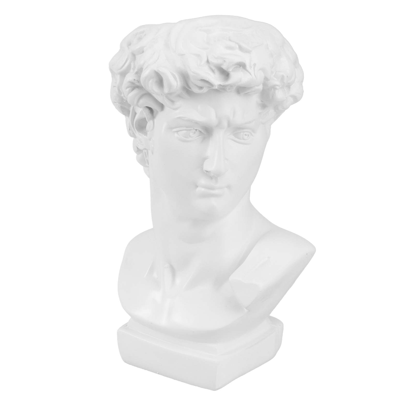HEMOTON Classic Greek Statue Planter - Face Vase for Jewelry & Trinkets, David Bust Sculpture for Succulents | Indoor/Outdoor Desktop Decor for Home, Office & Garden