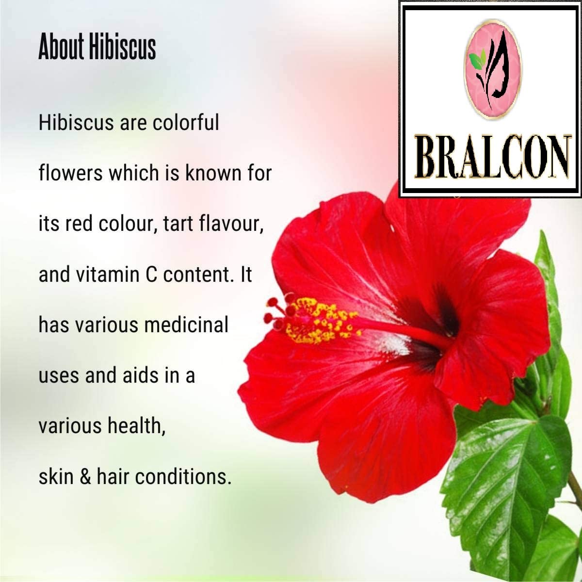 BRALCON Organic Amla Powder & Hibiscus Powder Combo - 200g (100g x 2) | 100% Pure Natural Indian Gooseberry & Hibiscus Powder for Hair Growth, Hair Care & Skin Care | DIY Hair Masks, Scalp Treatment & Natural Beauty Recipes