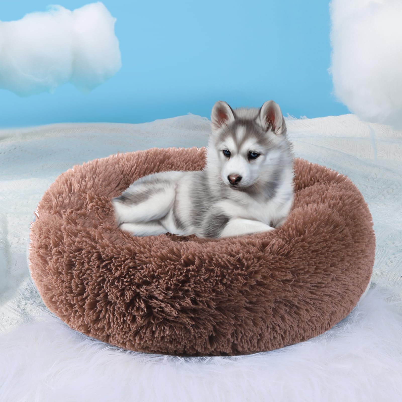 HYQ Small Dog Bed - Soft Fluffy Faux Fur Plush Washable Pet Bed for Small Dogs & Cats with Anti-Slip Bottom (Khaki, 20 Inch) - Perfect for Indoor Pets, Cozy Sleeping & Lounging in Living Room or Bedroom
