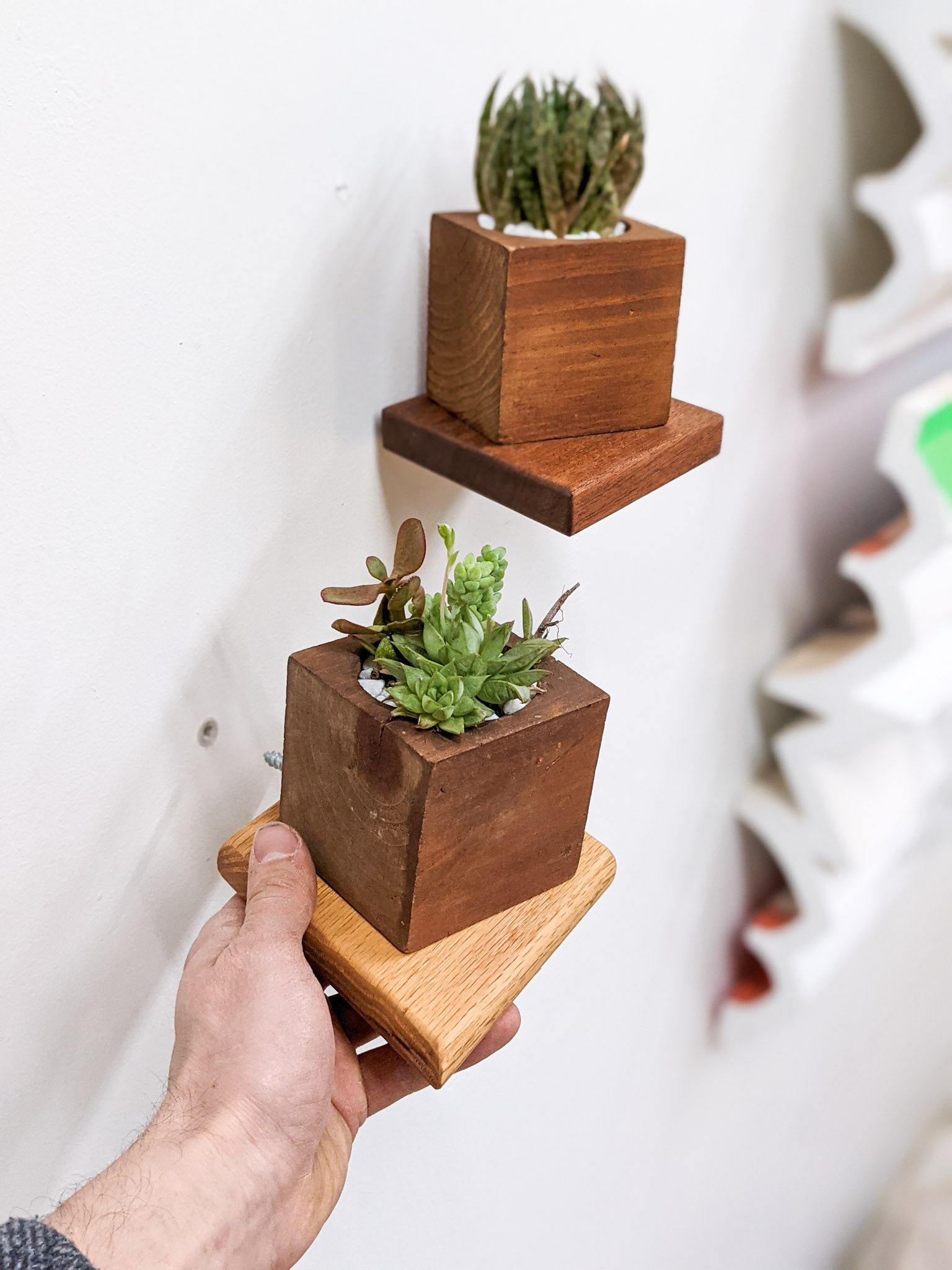 Stylish Oak Rhombus Display Shelf - Perfect for Home Decor, Books & Collectibles | Small Wall Shelf for Living Room, Bedroom & Office