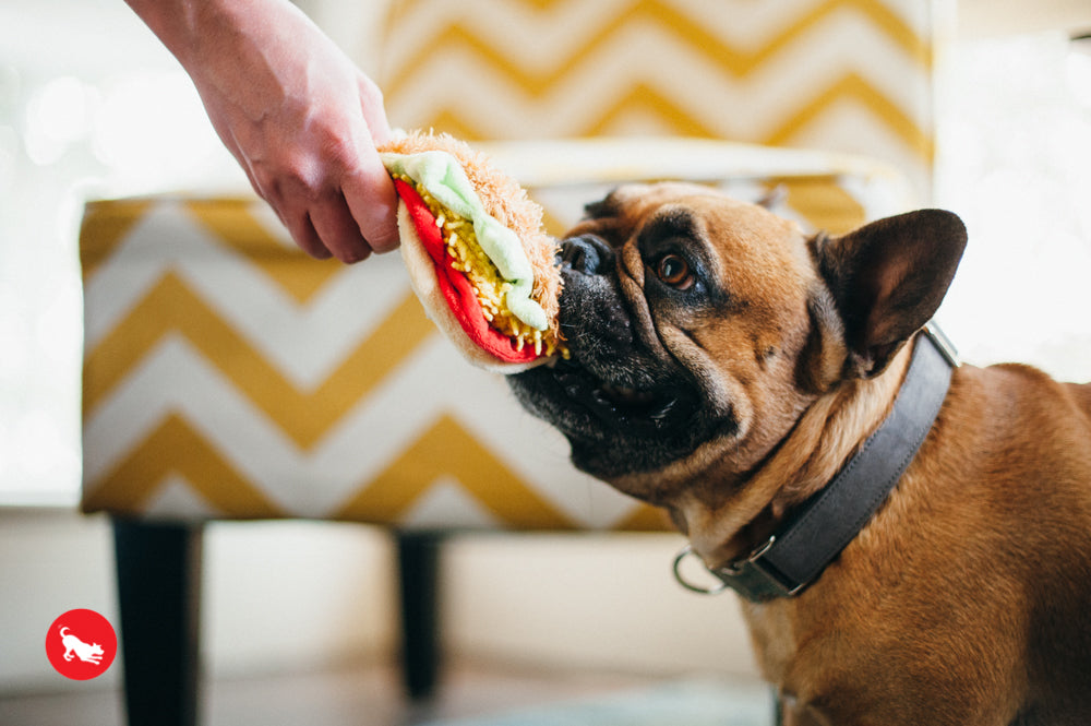 El Taco Dog Plush Toy - International Classic™ Chew-Resistant Squeaky Stuffed Animal for Pets | Perfect for Playtime, Training & Cuddling | Pet P.L.A.Y.