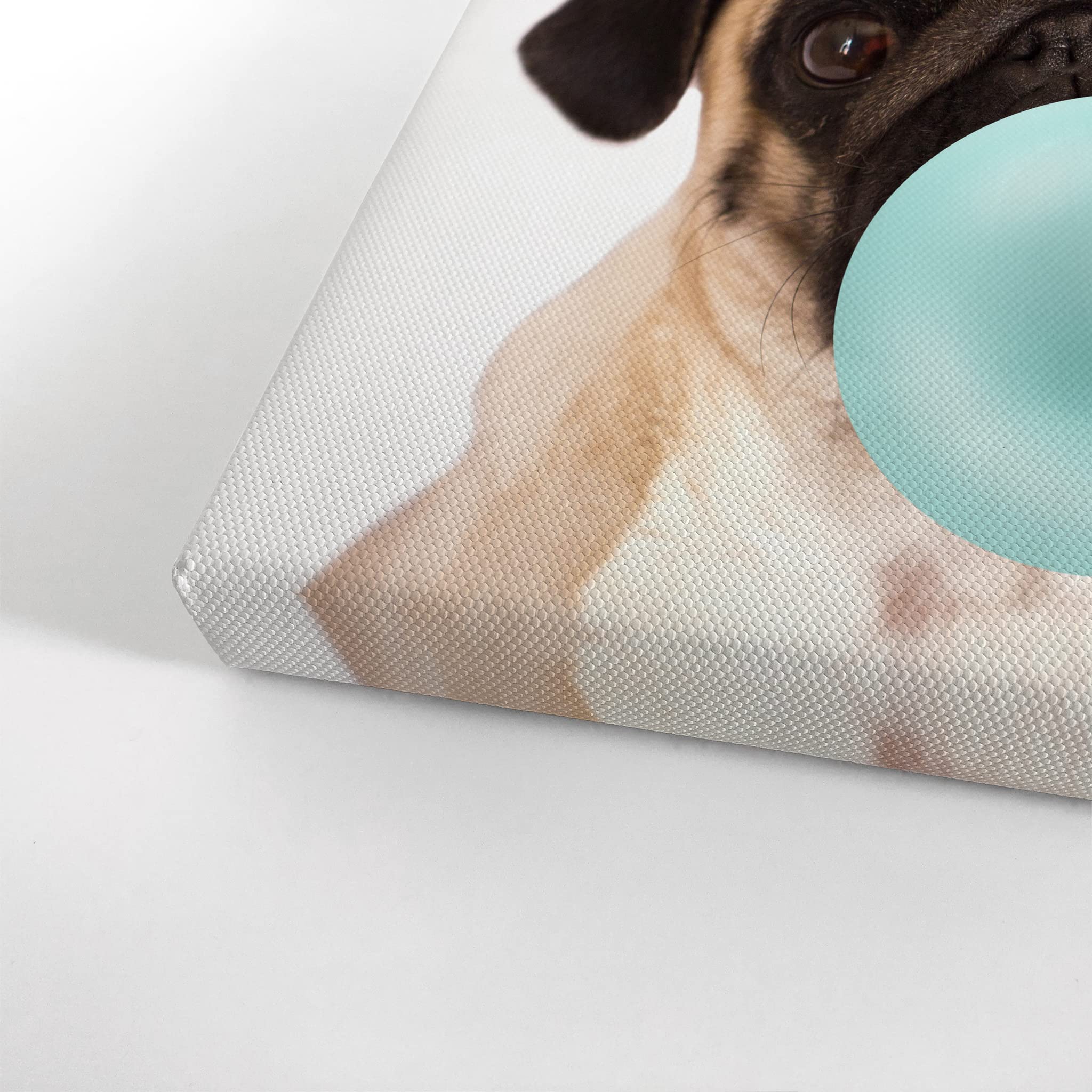 Cute Pug Dog Bubble Gum Pop Art Canvas Print - Teal Blue Animal Wall Decor for Kids Room, Nursery & Home - Ready to Hang 36x24 - Made in USA | Perfect for Pet Lovers & Modern Interior Design