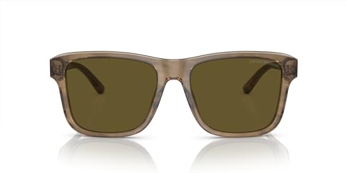 Shiny Green/Top Brown/Dark Brown