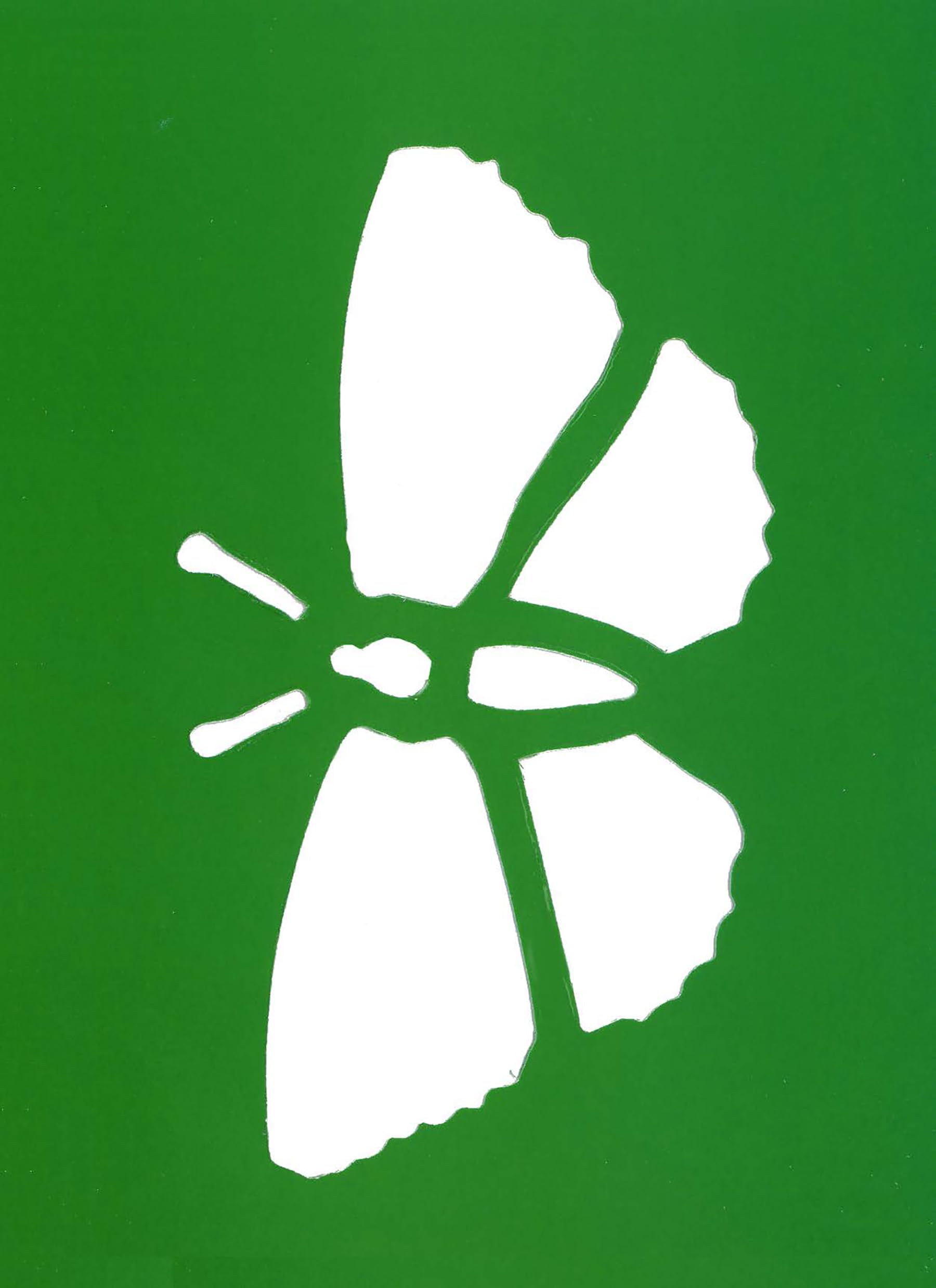 Butterfly Stencils for Kids - Dover Little Activity Books: Insects - Fun DIY Art Projects for Home & Classroom