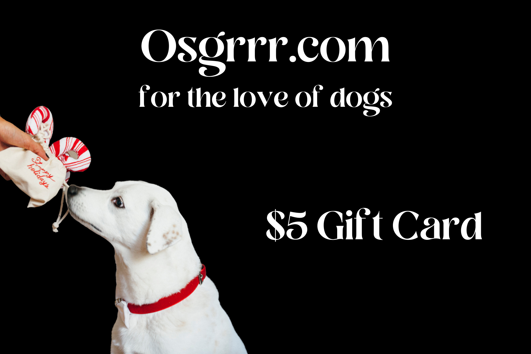 Osgrrr E Gift Card - Perfect Digital Gift for Birthdays, Holidays & Special Occasions | Instant Delivery & Easy to Use