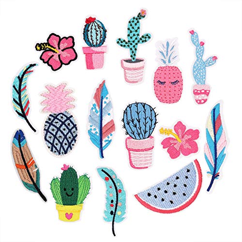 Cactus & Feather 15pcs