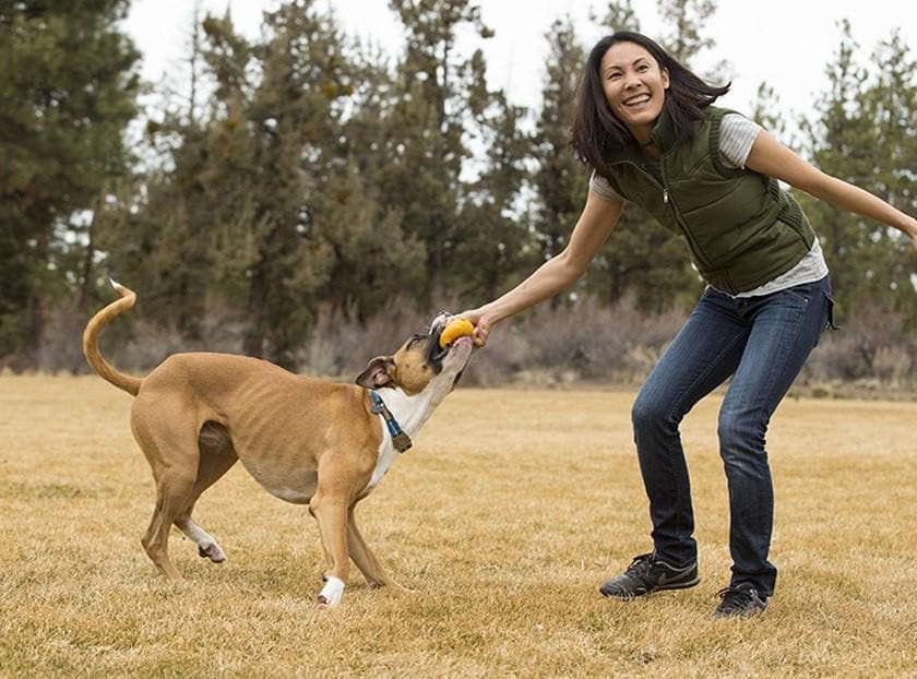 Ruffwear® Huckama Dog Toy Ball - Durable Fetch Ball for Dogs, Blue - Perfect for Outdoor Play, Training & Interactive Fun