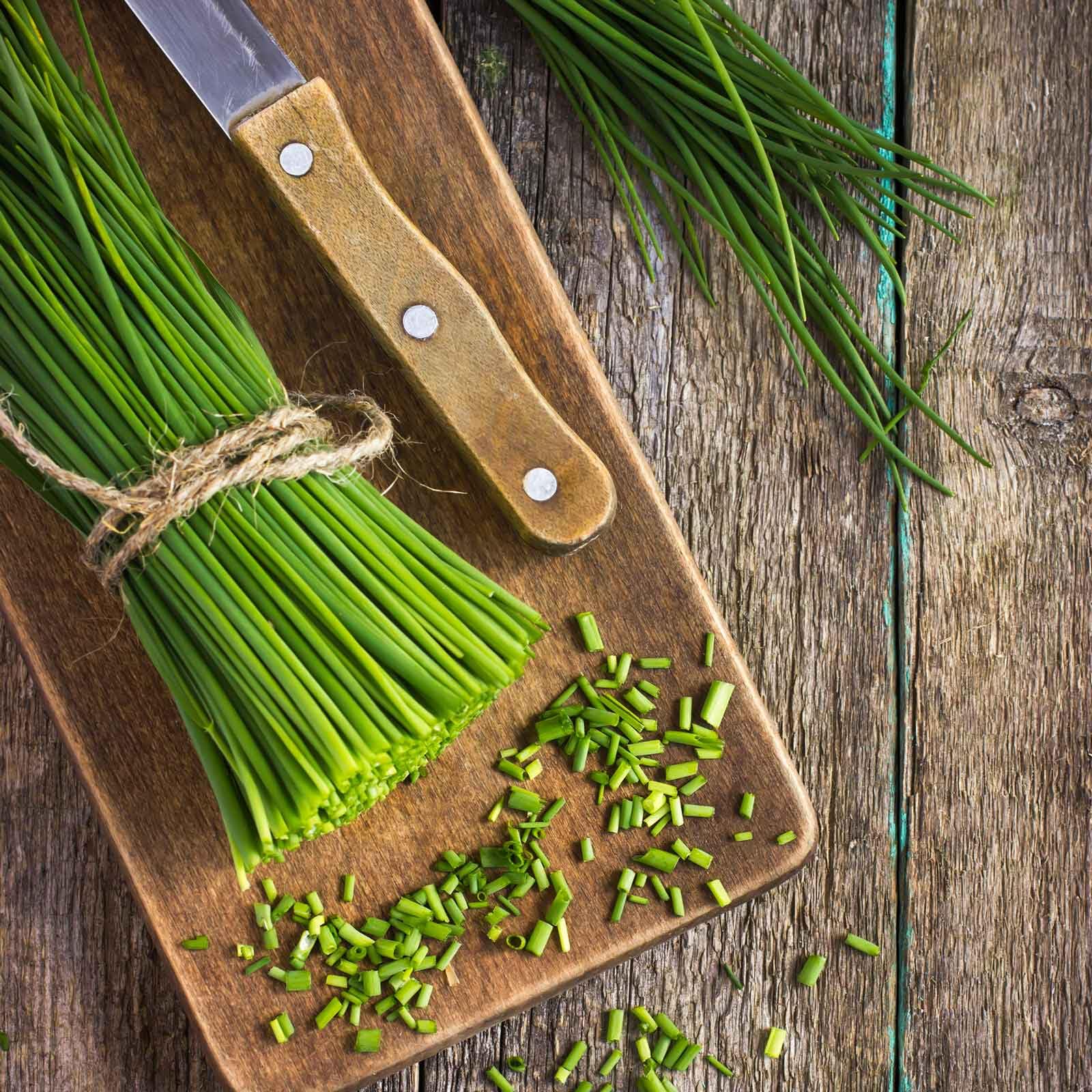 Eden Brothers Common Chives Seeds for Planting - Fresh Culinary Herb Garden Starter Kit - Perfect for Home Gardening, Cooking & Garnishing Dishes
