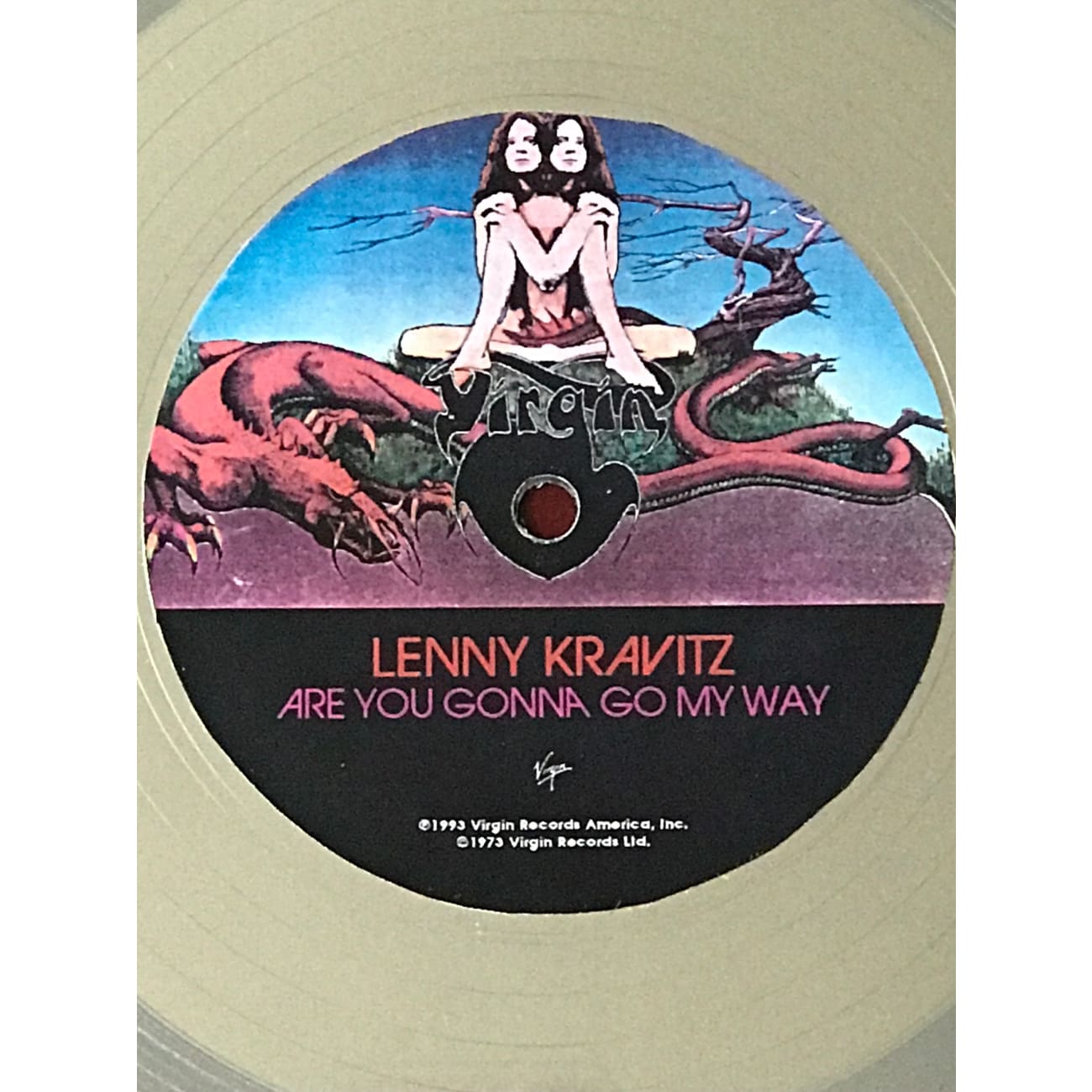 Lenny Kravitz 'Are You Gonna Go My Way' RIAA Certified Platinum Album Award - Perfect for Music Collectors & Rock Memorabilia Displays